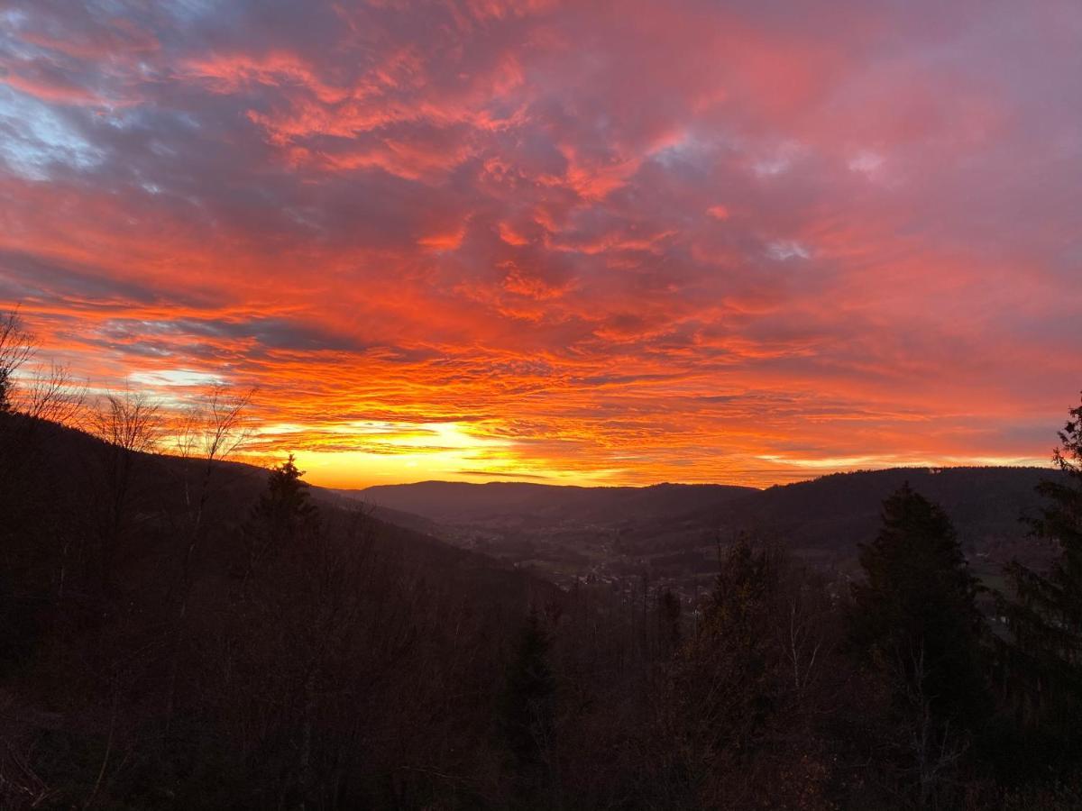 Le Gite Cozy De Bouvacote Avec Vue Panoramique Et Sauna ル・トリー エクステリア 写真