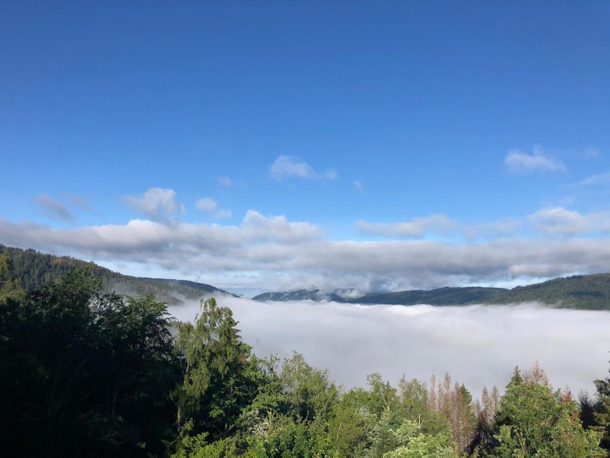 Le Gite Cozy De Bouvacote Avec Vue Panoramique Et Sauna ル・トリー エクステリア 写真