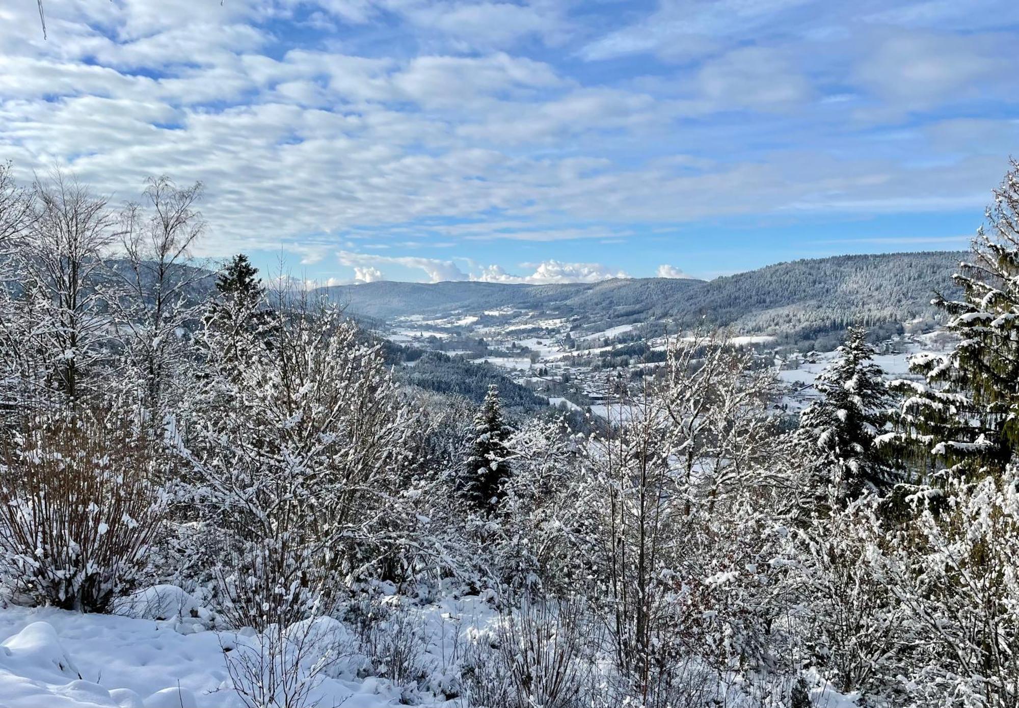 Le Gite Cozy De Bouvacote Avec Vue Panoramique Et Sauna ル・トリー エクステリア 写真